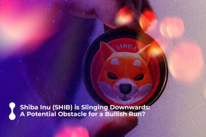 shiba inu (shib) is slinging downwards: a potential obstacle for a bullish run?