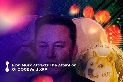 elon musk attracts the attention of doge and xrp