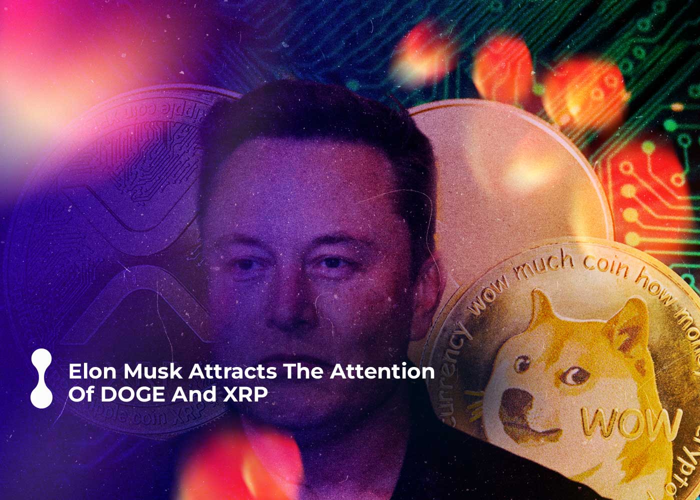 elon musk attracts the attention of doge and xrp