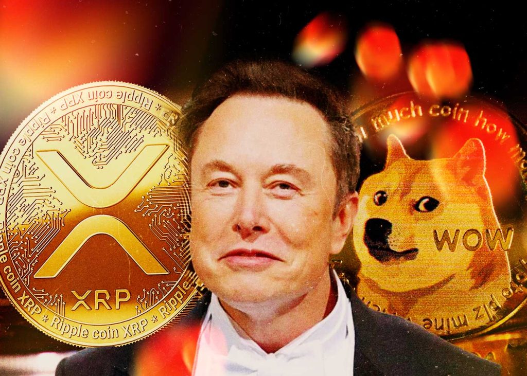 elon musk attracts the attention of doge and xrp2