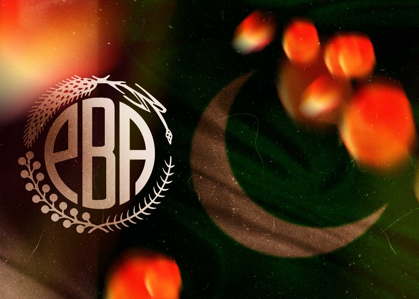 pakistan banking association (pba) makes an agreement with avanza group regarding data exchange