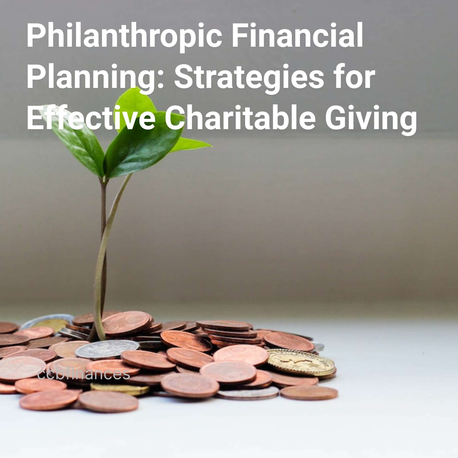 philanthropic financial planning strategies for effective charitable giving cover