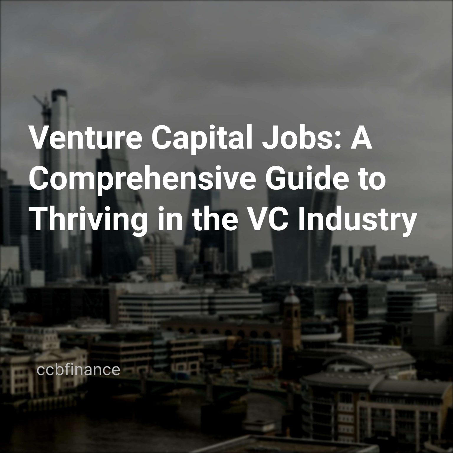 venture capital jobs a comprehensive guide to thriving in the vc industry cover